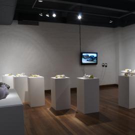  Ivan Dougherty Gallery Exhibition -  Another Silk Road