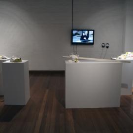  Ivan Dougherty Gallery Exhibition -  Another Silk Road