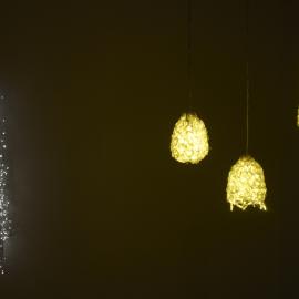  Ivan Dougherty Gallery Exhibition - Sustain Me: Contemporary Design