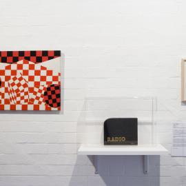  Ivan Dougherty Gallery Exhibition - Curating the COFA Collection