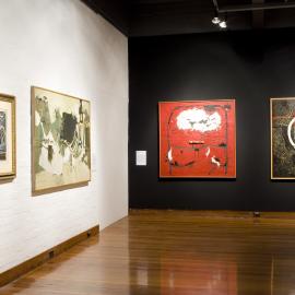  Ivan Dougherty Gallery Exhibition - Curating the COFA Collection