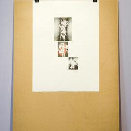  Ivan Dougherty Gallery Exhibition - Curating the COFA Collection