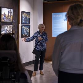 Library Exhibitions - Revealing Riversleigh