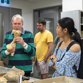 Library Exhibitions - Revealing Riversleigh