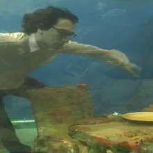 Entre paredes de agua (Within water walls)