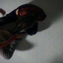 Necessary games: moths