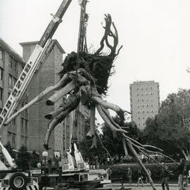Installation of Upside Down Tree