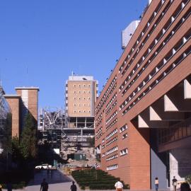 View Up Main Walkway