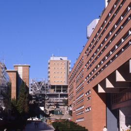 View Up Main Walkway
