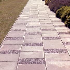 Main Walkway Floorscape