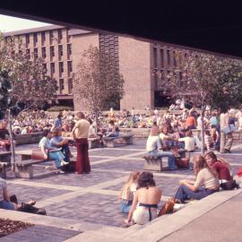 Library Lawn - View across Paved Part