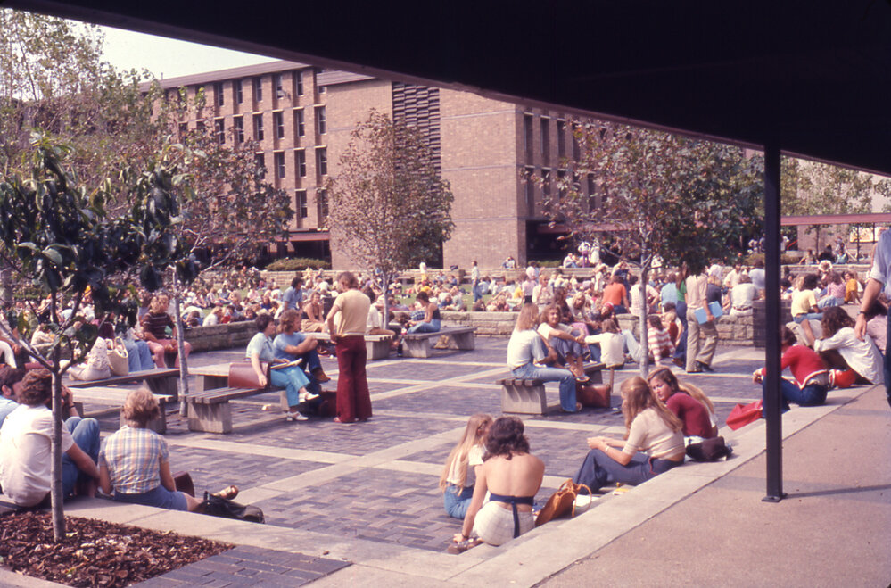 Library Lawn - View across Paved Part