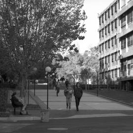 Main Walkway Near the Architecture Building