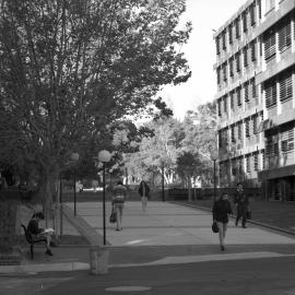 Main Walkway Near the Architecture Building