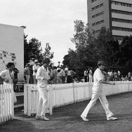 UNSW First Grade Cricket Team Final on the Village Green