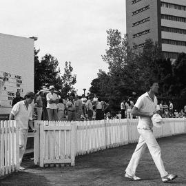UNSW First Grade Cricket Team Final on the Village Green