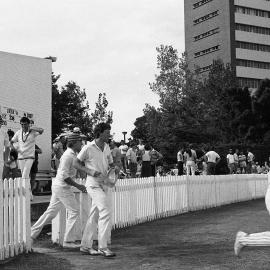 UNSW First Grade Cricket Team Final on the Village Green