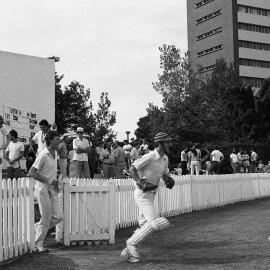 UNSW First Grade Cricket Team Final on the Village Green
