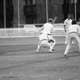 UNSW First Grade Cricket Team Final on the Village Green