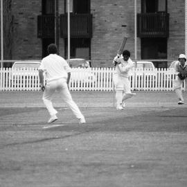 UNSW First Grade Cricket Team Final on the Village Green