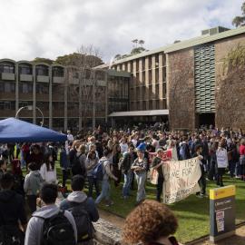 Cancel Trimesters Rally