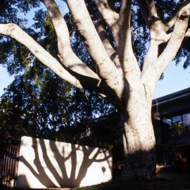 College of Fine Arts (COFA) - Paddington