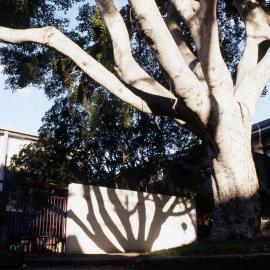 College of Fine Arts (COFA) - Paddington