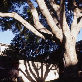 College of Fine Arts (COFA) - Paddington