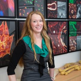 Melissa Knothe Tate - Graduate School for Biomedical Engineering