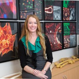 Melissa Knothe Tate - Graduate School for Biomedical Engineering