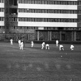 University Sport - Cricket 