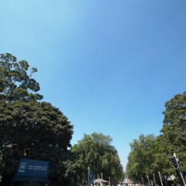 O-Week. Walkway/Entrance From Anzac Pde. 