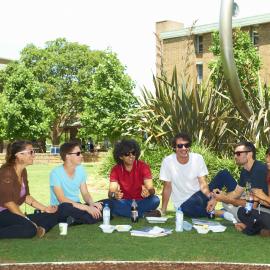 Students on Library Lawn