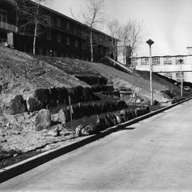 New feature work on the embankment between Basser College