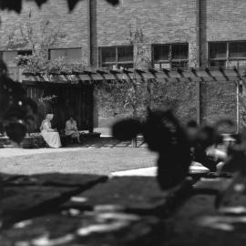 Students confer in the Chancellor's Courtyard 