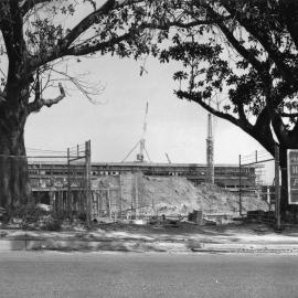 The Moreton Bay fig trees frame the Library