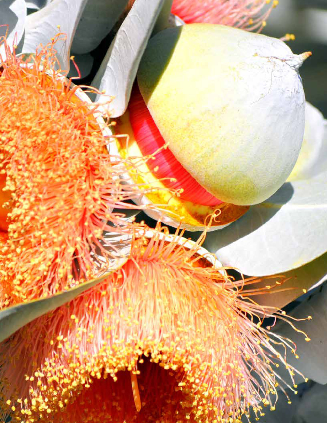 From the 2014 Institute of Environmental Studies Annual Report