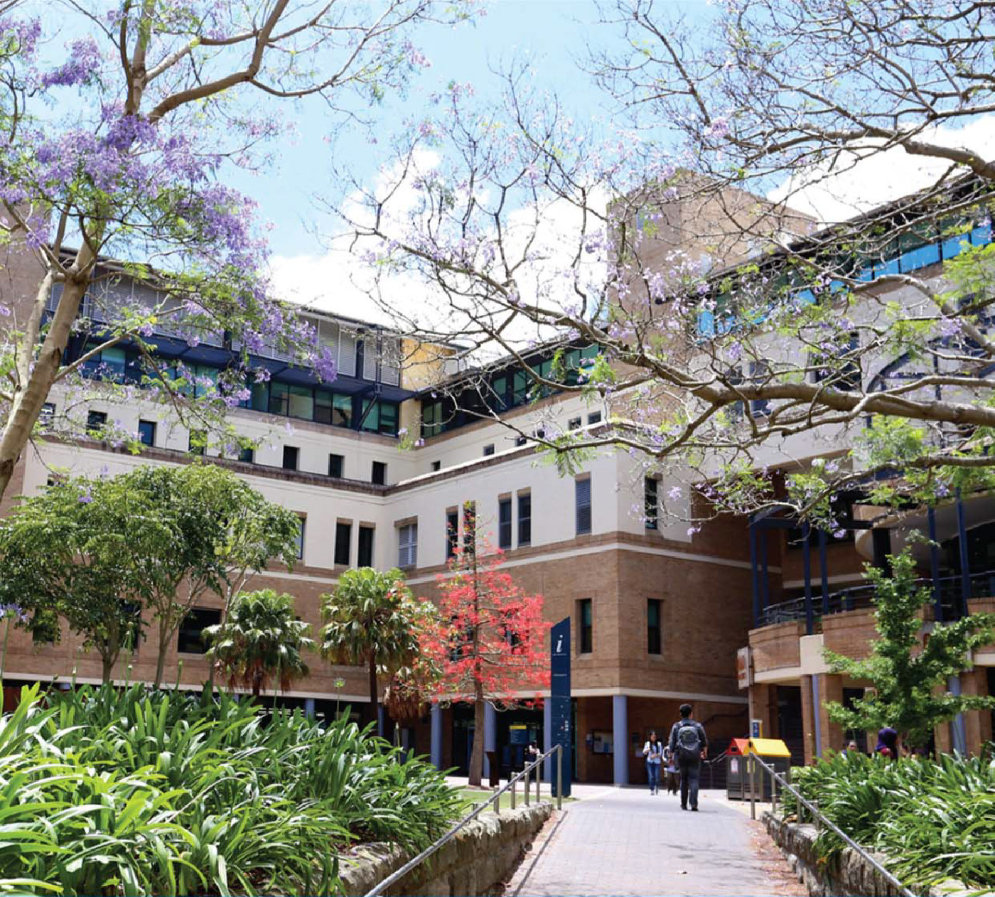 From the front cover of the 2015 School of Accounting Annual Review