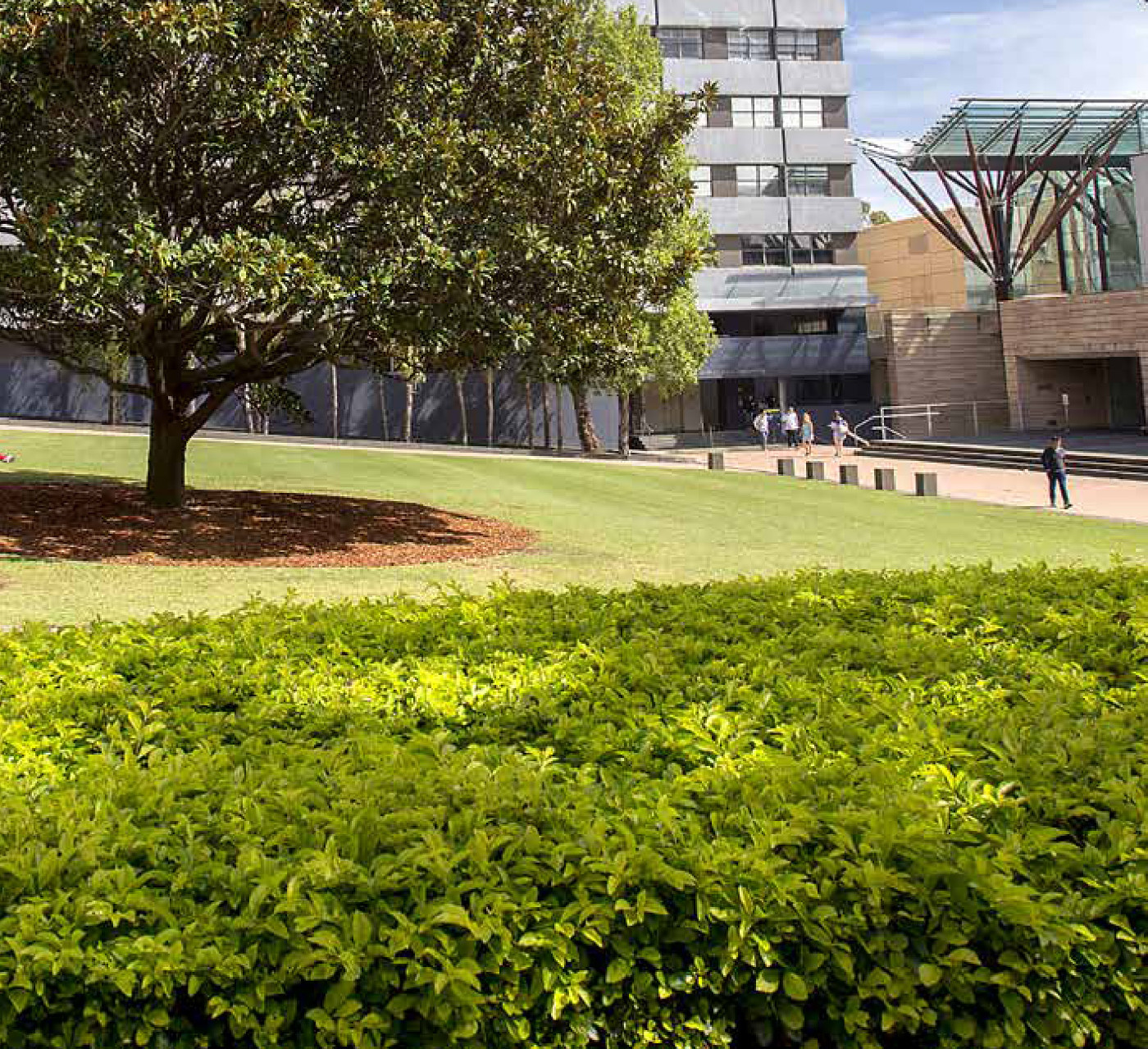 From the front cover of the 2013 School of Civil and Environmental Engineering Annual Report