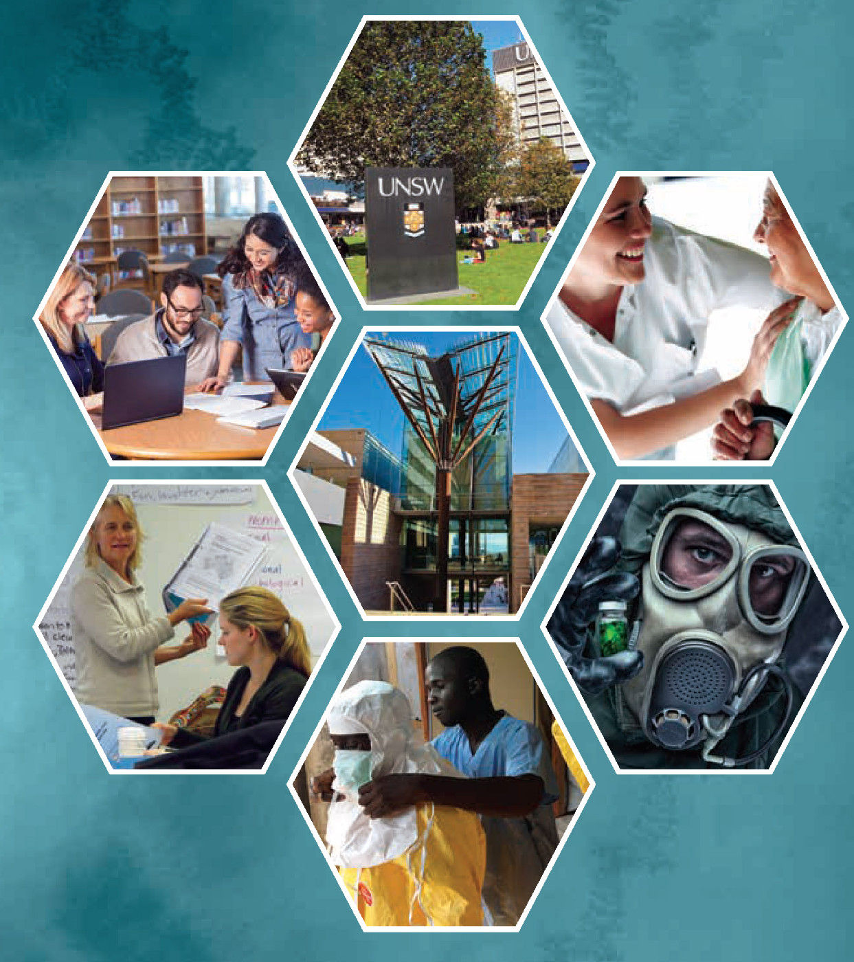 From the front cover of the 2013 - 2014 School of Public Health and Community Medicine Biennial Report.